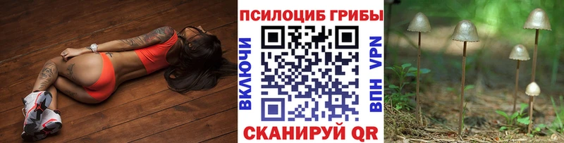 купить   Вилюйск  МЕГА как зайти  Галлюциногенные грибы Psilocybe 